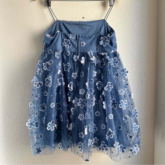 Trixxi | Mesh Organza Tulle Blue Floral Mini Dress - Picture 3 of 9